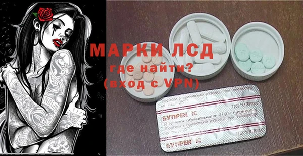 ГАЛЛЮЦИНОГЕННЫЕ ГРИБЫ Вязники