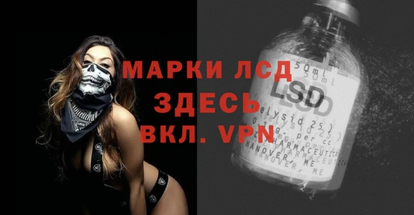 ГАЛЛЮЦИНОГЕННЫЕ ГРИБЫ Вязники
