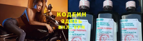 ГАЛЛЮЦИНОГЕННЫЕ ГРИБЫ Вязники