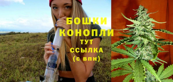 ГАЛЛЮЦИНОГЕННЫЕ ГРИБЫ Вязники