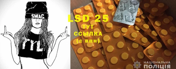 ГАЛЛЮЦИНОГЕННЫЕ ГРИБЫ Вязники