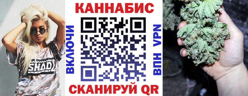 где найти   Черняховск  Конопля сатива 